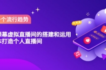 专业绿幕虚拟直播间的搭建和运用，低成本打造个人直播间-创业网 - 最新网络创业项目与实战营销教程平台 | cye.cc