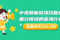 某付费文章：中视频解说项目复盘：细分领域的蓝海行业 批量单天200-300收益-创业网 - 最新网络创业项目与实战营销教程平台 | cye.cc