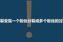 「粉丝裂变训练营」0-1-1w爆发式增长，24小时不断的涨粉-睡觉也在涨-16节课-创业网 - 最新网络创业项目与实战营销教程平台 | cye.cc