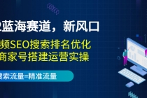 2022蓝海赛道，新风口：短视频SEO搜索排名优化+企业商家号搭建运营实操-创业网 - 最新网络创业项目与实战营销教程平台 | cye.cc