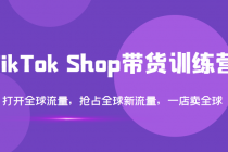 TikTok Shop带货训练营，打开全球流量，抢占全球新流量 一店卖全球(第14期)-创业网 - 最新网络创业项目与实战营销教程平台 | cye.cc
