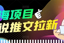 【高端精品】外面收费6880的小说推文拉新项目，个人工作室可批量做-创业网 - 最新网络创业项目与实战营销教程平台 | cye.cc