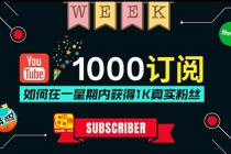 油管涨粉教程：一星期内获得1000真实粉丝，免费且快速的方法 操作简单-创业网 - 最新网络创业项目与实战营销教程平台 | cye.cc