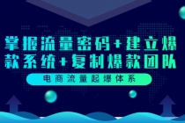 电商流量起爆体系：掌握流量密码+建立爆款系统+复制爆款团队-创业网 - 最新网络创业项目与实战营销教程平台 | cye.cc