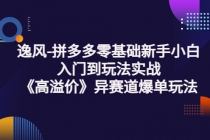 逸风-拼多多零基础新手小白入门到玩法实战《高溢价》异赛道爆单玩法实操课-创业网 - 最新网络创业项目与实战营销教程平台 | cye.cc