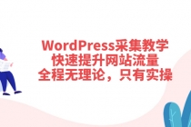 WordPress采集教学，快速提升网站流量：全程无理论，只有实操-创业网 - 最新网络创业项目与实战营销教程平台 | cye.cc