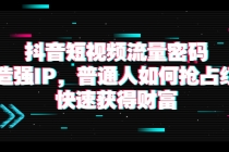 抖音短视频流量密码：打造强IP，普通人如何抢占红利，快速获得财富-创业网 - 最新网络创业项目与实战营销教程平台 | cye.cc