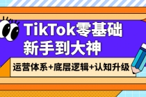 TikTok零基础新手到大神：运营体系+底层逻辑+认知升级-创业网 - 最新网络创业项目与实战营销教程平台 | cye.cc
