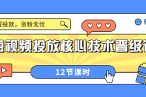 短视频投放核心技术晋级课：掌握投放，涨粉无忧-创业网 - 最新网络创业项目与实战营销教程平台 | cye.cc