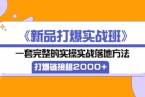 《新品打爆实战班》一套完整的实操实战落地方法，打爆链接超2000+（38节课)-创业网 - 最新网络创业项目与实战营销教程平台 | cye.cc