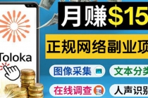 正规网络副业赚钱平台Toloka，利用业余时间月赚150美元-创业网 - 最新网络创业项目与实战营销教程平台 | cye.cc