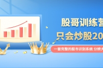 股哥训练营·只会炒股20期：一套完整的股市识别系统，分辨大涨、大跌！-创业网 - 最新网络创业项目与实战营销教程平台 | cye.cc