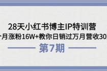 28天小红书博主IP特训营《第6+7期》4个月涨粉16W+教你日销过万月营收30万-创业网 - 最新网络创业项目与实战营销教程平台 | cye.cc