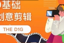 THE D1G零基础创意剪辑课，第一馆创意剪辑实操课-49节完整版-创业网 - 最新网络创业项目与实战营销教程平台 | cye.cc