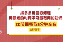 拼多多运营必修课：20节课每节5分钟左右，用最短的时间学习最有用的知识-创业网 - 最新网络创业项目与实战营销教程平台 | cye.cc