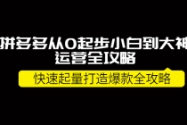 拼多多从0起步小白到大神运营全攻略，快速起量打造10W+爆款全攻略！-创业网 - 最新网络创业项目与实战营销教程平台 | cye.cc