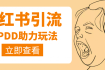 利用小红书卖拼多多助力，日赚100+，顺便还能引个流【视频课程】-创业网 - 最新网络创业项目与实战营销教程平台 | cye.cc