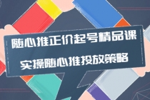 随心推正价起号精品课，实操随心推投放策略-创业网 - 最新网络创业项目与实战营销教程平台 | cye.cc