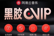 网易云撸黑胶年卡及变现方法，收益可无限放大-创业网 - 最新网络创业项目与实战营销教程平台 | cye.cc