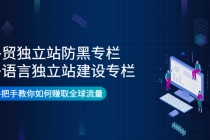 外贸独立站防黑专栏+多语言独立站建设专栏，手把手教你如何赚取全球流量-创业网 - 最新网络创业项目与实战营销教程平台 | cye.cc