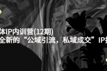 新媒体IP内训营(12期)，一套全新的“公域引流，私域成交”IP打法，直接带走-创业网 - 最新网络创业项目与实战营销教程平台 | cye.cc