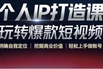 个人IP打造课-玩转爆款短视频，明确自我定位|挖掘商业价值|轻松上手做账号-创业网 - 最新网络创业项目与实战营销教程平台 | cye.cc