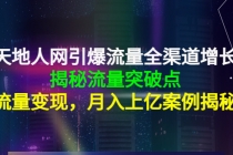 天地人网引爆流量全渠道增长：揭秘流量突然破点，流量变现，月入上亿案例-创业网 - 最新网络创业项目与实战营销教程平台 | cye.cc