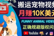 搬运TIKTOK视频到YouTube，并进行二次创作，月赚1万美元以上-创业网 - 最新网络创业项目与实战营销教程平台 | cye.cc