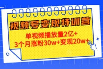 20天视频号变现特训营：单视频播放量2亿+3个月涨粉30w+变现20w+-创业网 - 最新网络创业项目与实战营销教程平台 | cye.cc