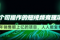 五个可操作的短视频变现项目：年销售额上亿的项目，人人能复制-创业网 - 最新网络创业项目与实战营销教程平台 | cye.cc