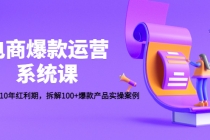 电商爆款运营系统课：迎接未来10年红利期，拆解100+爆款产品实操案例-创业网 - 最新网络创业项目与实战营销教程平台 | cye.cc