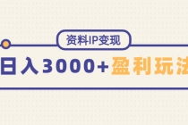 资料IP变现，能稳定日赚3000起的持续性盈利玩法-创业网 - 最新网络创业项目与实战营销教程平台 | cye.cc