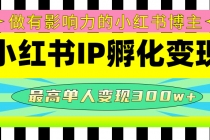 某收费培训-小红书IP孵化变现：做有影响力的小红书博主，最高单人变现300w+-创业网 - 最新网络创业项目与实战营销教程平台 | cye.cc