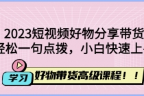 2023短视频好物分享带货，好物带货高级课程，轻松一句点拨，小白快速上手-创业网 - 最新网络创业项目与实战营销教程平台 | cye.cc