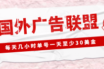 外面收费1980最新国外LEAD广告联盟搬砖项目，单号一天至少30美金(详细教程)-创业网 - 最新网络创业项目与实战营销教程平台 | cye.cc