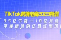 TikTok跨境电商2023特训：35亿下载＋10亿月活，不能错过的亿级红利风口-创业网 - 最新网络创业项目与实战营销教程平台 | cye.cc