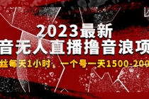 2023最新抖音无人直播撸音浪项目，0粉丝每天1小时，一个号一天1500-2000元-创业网 - 最新网络创业项目与实战营销教程平台 | cye.cc