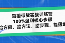 直播带货实战训练营：100%盈利核心步骤，给方向，给方法，给步骤，能落地-创业网 - 最新网络创业项目与实战营销教程平台 | cye.cc