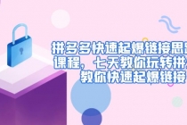 拼多多快速起爆链接思路1.0课程，七天教你玩转拼夕夕，教你快速起爆链接-创业网 - 最新网络创业项目与实战营销教程平台 | cye.cc