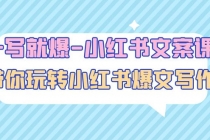 一写就爆-小红书文案课：带你玩转小红收爆文写作-创业网 - 最新网络创业项目与实战营销教程平台 | cye.cc