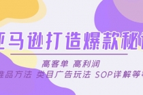 亚马逊打造爆款秘诀：高客单 高利润 推品方法 类目广告玩法 SOP详解等等-创业网 - 最新网络创业项目与实战营销教程平台 | cye.cc