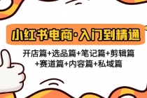 小红书电商入门到精通 开店篇+选品篇+笔记篇+剪辑篇+赛道篇+内容篇+私域篇-创业网 - 最新网络创业项目与实战营销教程平台 | cye.cc
