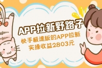 APP拉新野路子：快手极速版的APP拉新赚，实操收益2803元-创业网 - 最新网络创业项目与实战营销教程平台 | cye.cc