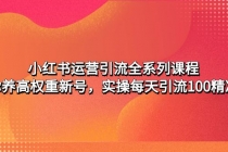 小红书运营引流全系列课程：教你养高权重新号，实操每天引流100精准粉-创业网 - 最新网络创业项目与实战营销教程平台 | cye.cc