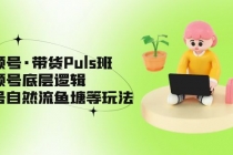 视频号·带货Puls班，视频号底层逻辑，起号自然流鱼塘等玩法-创业网 - 最新网络创业项目与实战营销教程平台 | cye.cc