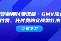教你利用付费流量·GMV放大，微付费、纯付费的实战型打法！-创业网 - 最新网络创业项目与实战营销教程平台 | cye.cc