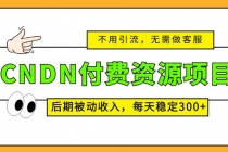 CNDN付费资源项目，不用引流，无需做客服，后期被动收入，每天稳定300+-创业网 - 最新网络创业项目与实战营销教程平台 | cye.cc