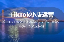 TikTok小店运营 抢占TikTok全球蓝海市场，开店、运营、带货、投流全实操-创业网 - 最新网络创业项目与实战营销教程平台 | cye.cc