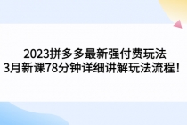 2023拼多多最新强付费玩法，3月新课​78分钟详细讲解玩法流程！-创业网 - 最新网络创业项目与实战营销教程平台 | cye.cc
