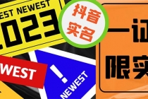 外面收费1200最新抖音一证无限实名技术 无视限制封禁【详细玩法视频教程】-创业网 - 最新网络创业项目与实战营销教程平台 | cye.cc